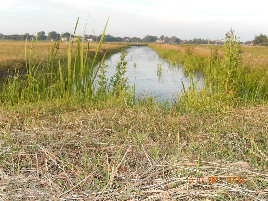 Op Terschelling * Baaiduinen